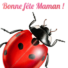 Coccinelle amicale pour c&eacute;l&eacute;brer maman